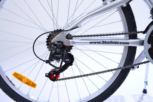 Rear wheel derailleur on a silver bicycle.