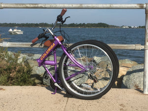 Purple folding bicycle in the folded position next to a body of water.